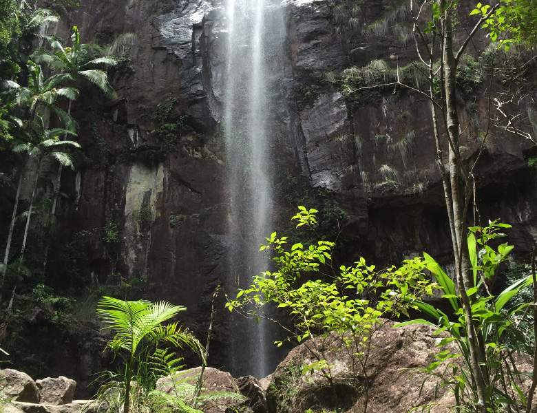 Protesters Falls - Nightcap National Park