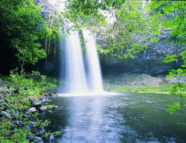 Killen Falls - waterfall and nature walks