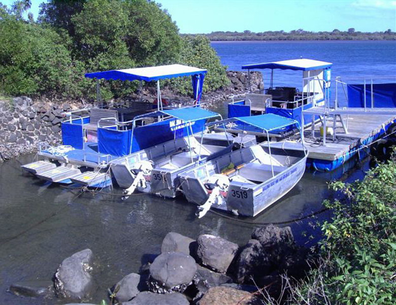 Ballina Boat Hire