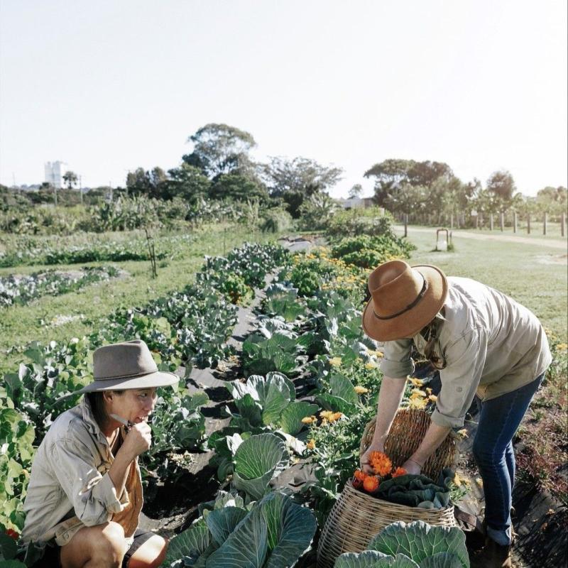 The Farm at Byron Bay