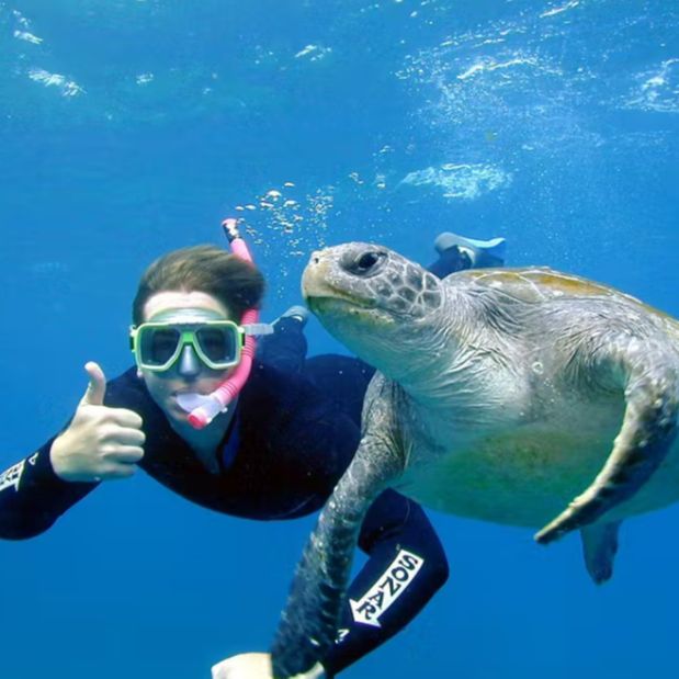 Byron Bay Dive Centre Byron Bay Dive Centre