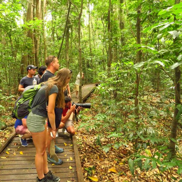 Vision Walks - Group Eco Tours