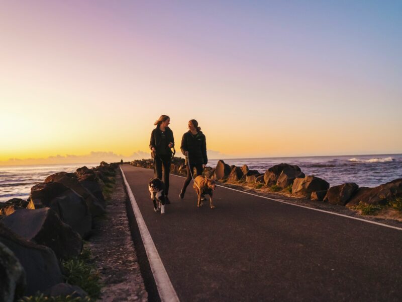 Two women walking dogs along Ballina North Wall at sunrise with ocean waves and rocks in the background