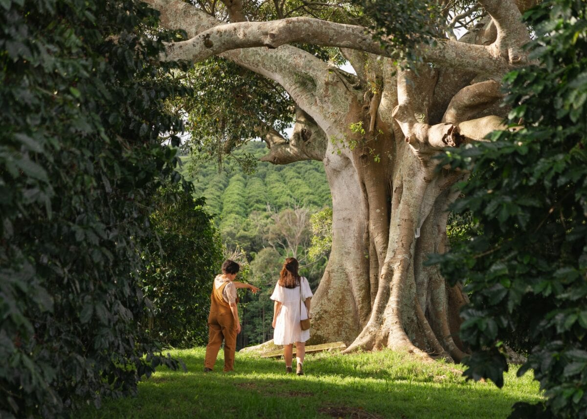 DiscoverBallina2024(HR) 57 DiscoverBallina2024(HR) 57