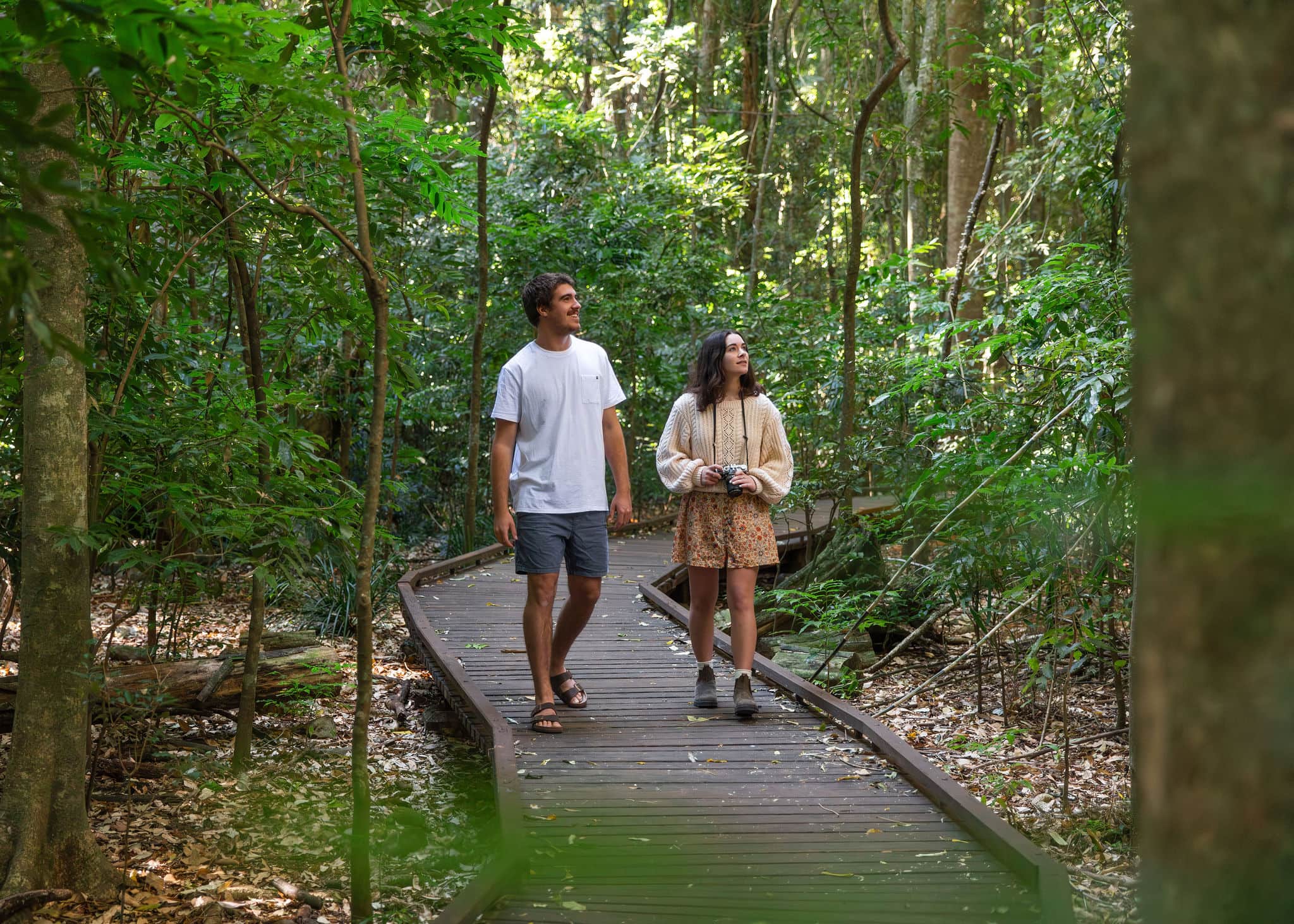 A peaceful rainforest walk