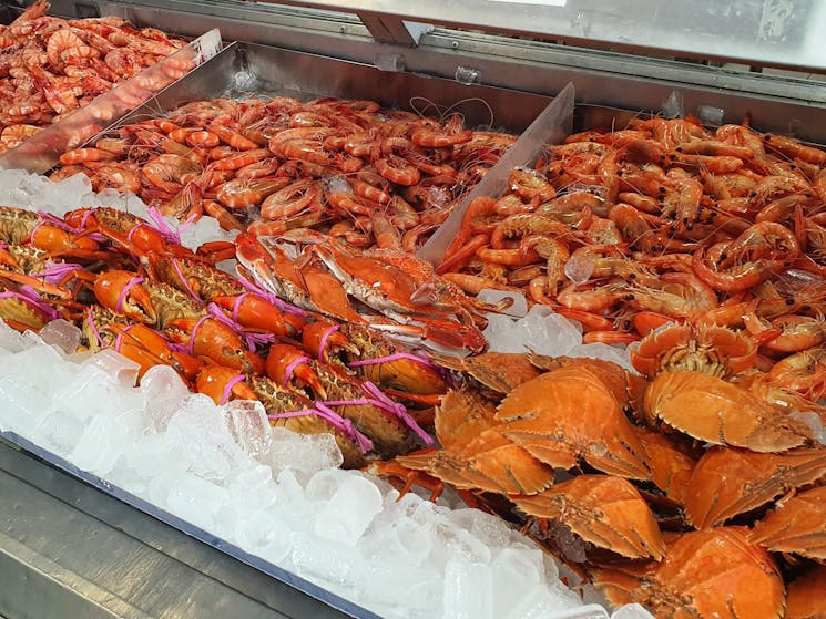 Ballina Fishermen’s Co-Op – Fresh Local Seafood Selection Fresh prawns, lobsters, and crabs on ice at Ballina Fishermen’s Co-Op seafood display