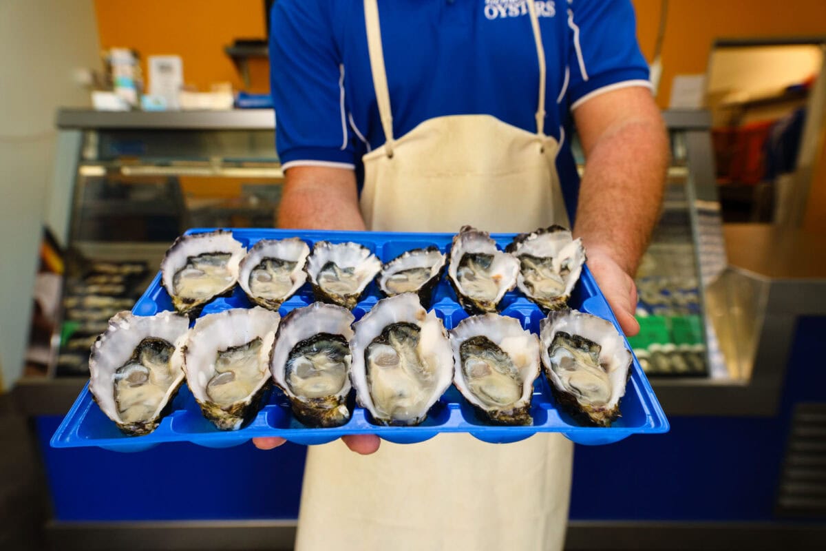 Richmond Oysters – Premium Fresh Oysters from Ballina Freshly shucked Richmond Oysters on display at Ballina seafood shop