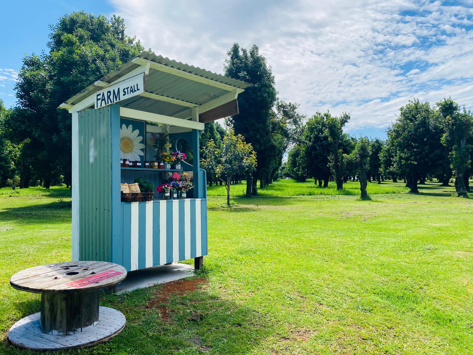 Farm Gate Stall in Alstonville – Local Produce with a Country Smile Rustic farm gate stall with fresh produce and flowers in a macadamia orchard near Alstonville, Northern Rivers NSW.