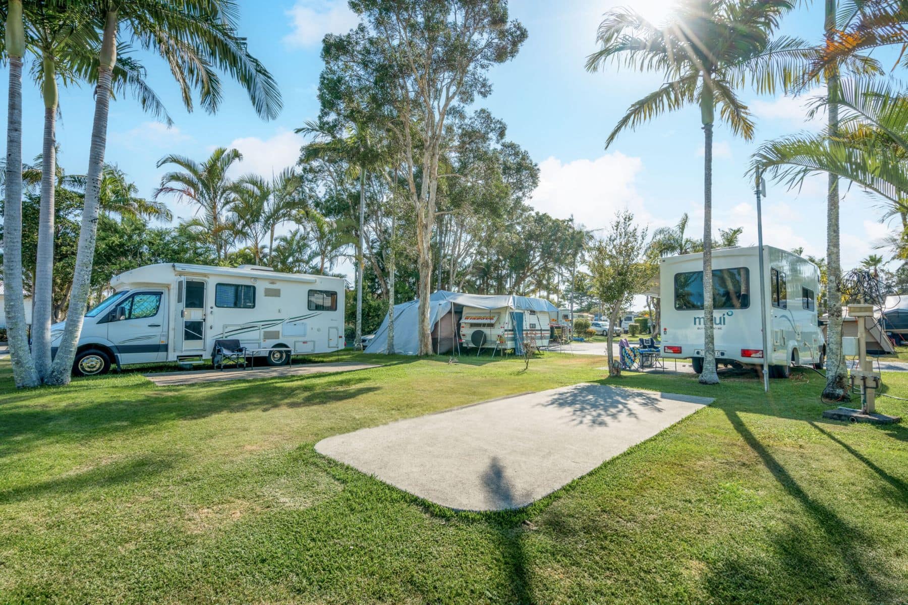 Spacious Powered Sites at Tasman Holiday Park Ballina – Relax Under the Palms Sunny powered caravan sites at Tasman Holiday Park Ballina, with palm trees, motorhomes, and campers enjoying the tropical park setting.