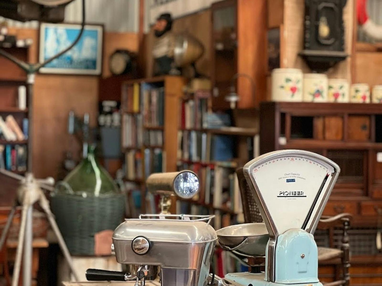 Bottom of the Harbour