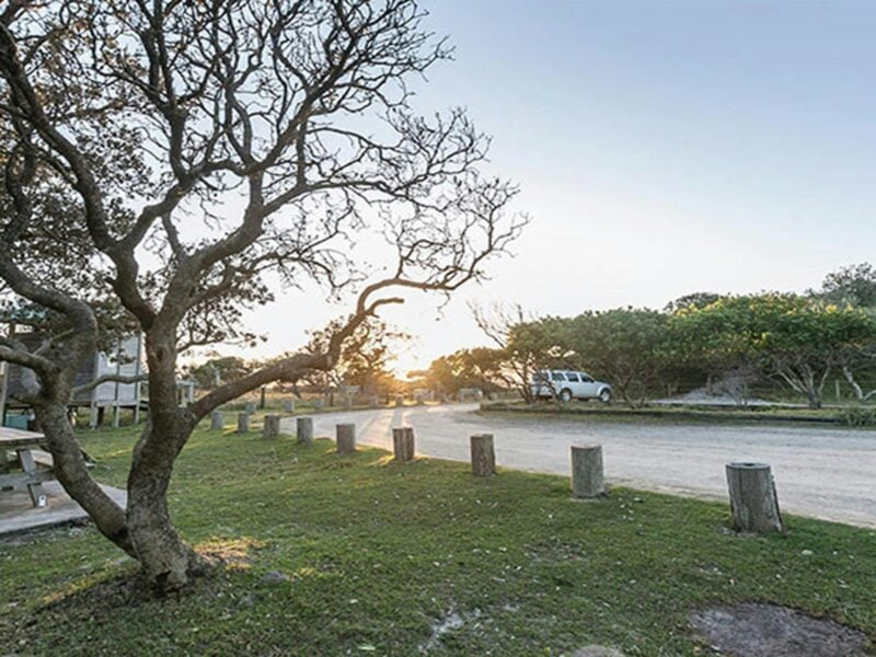 Broadwater National Park