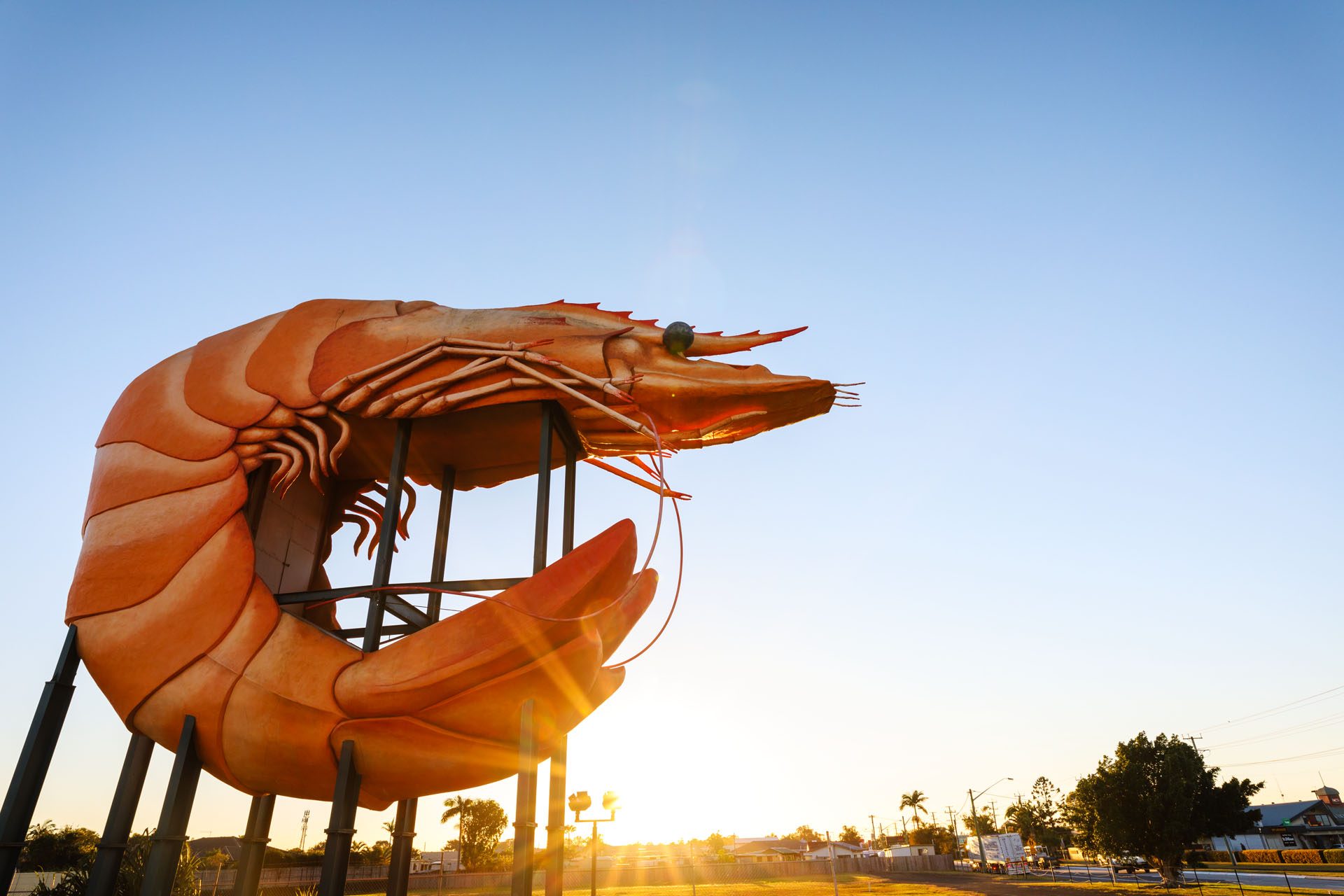 Big Prawn – A Ballina Classic 