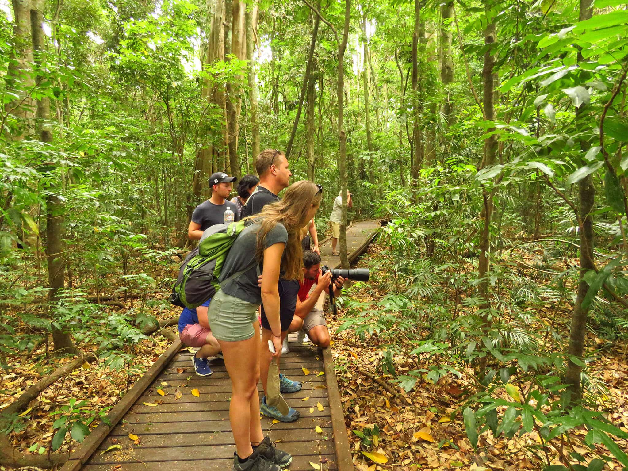 Vision Walks Wildlife Safari