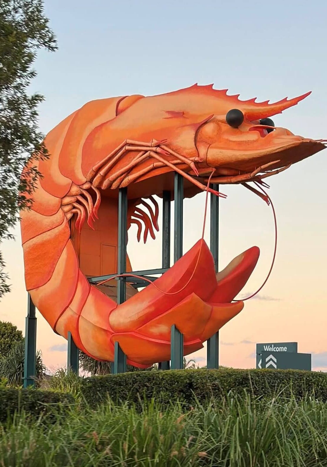 The Big Prawn Ballina – Australia’s Favourite Crustacean The Big Prawn Ballina landmark at sunset, surrounded by greenery.