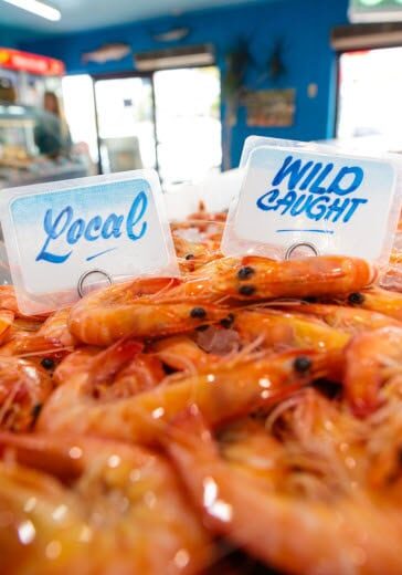 Wild-Caught Local Prawns – Northern Rivers Seafood Ballina Fresh wild-caught local prawns on ice at a Northern Rivers seafood in Ballina
