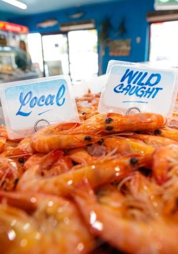 Fresh wild-caught local prawns on ice at a Northern Rivers seafood in Ballina