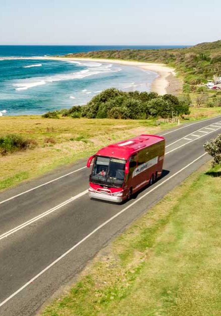 Red Greyhound coach driving along the scenic Coast Road near Ballina, with ocean views and green coastal landscape.