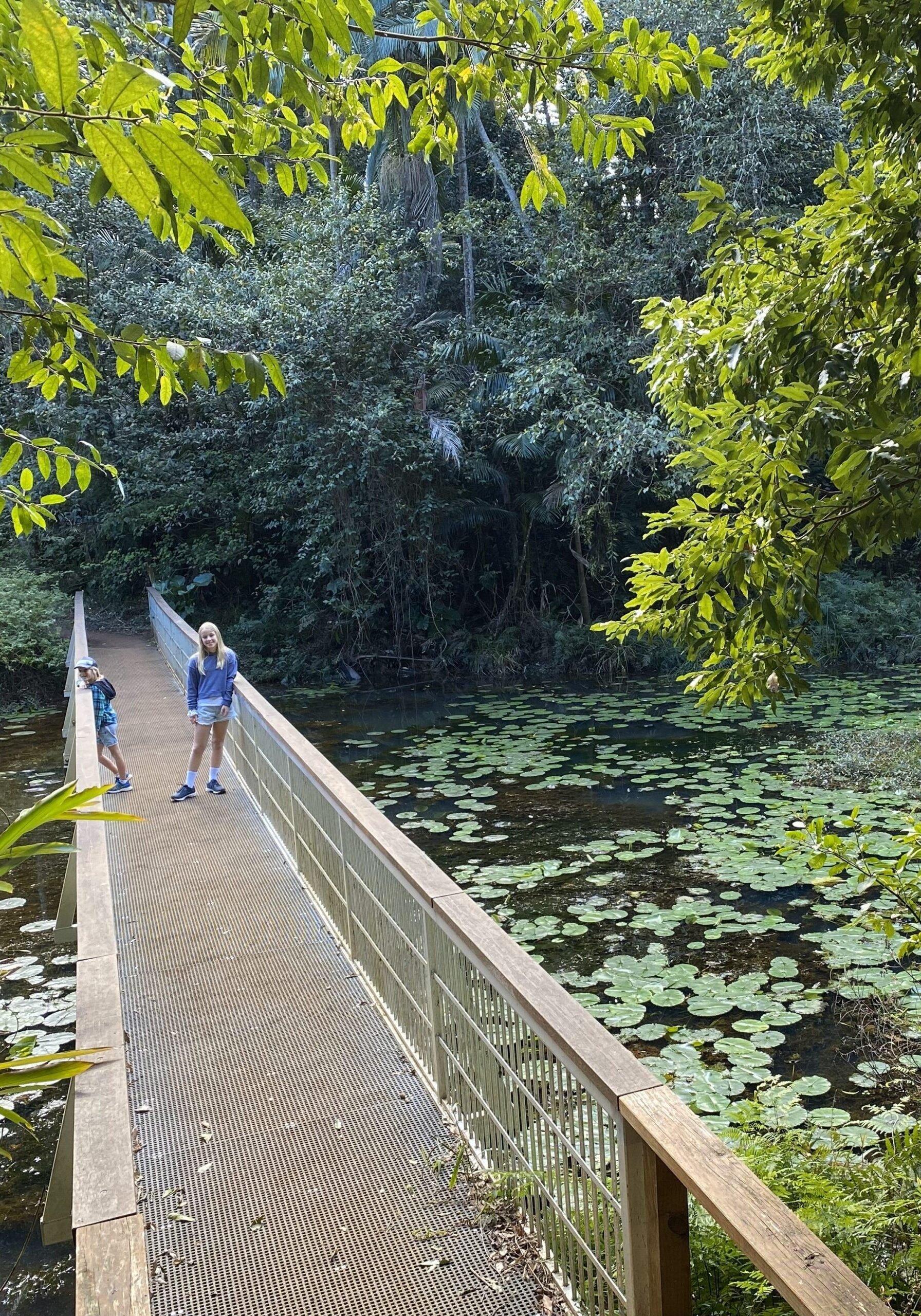 Children standing on a boardwalk above lily-covered water at Rocky Creek Dam.