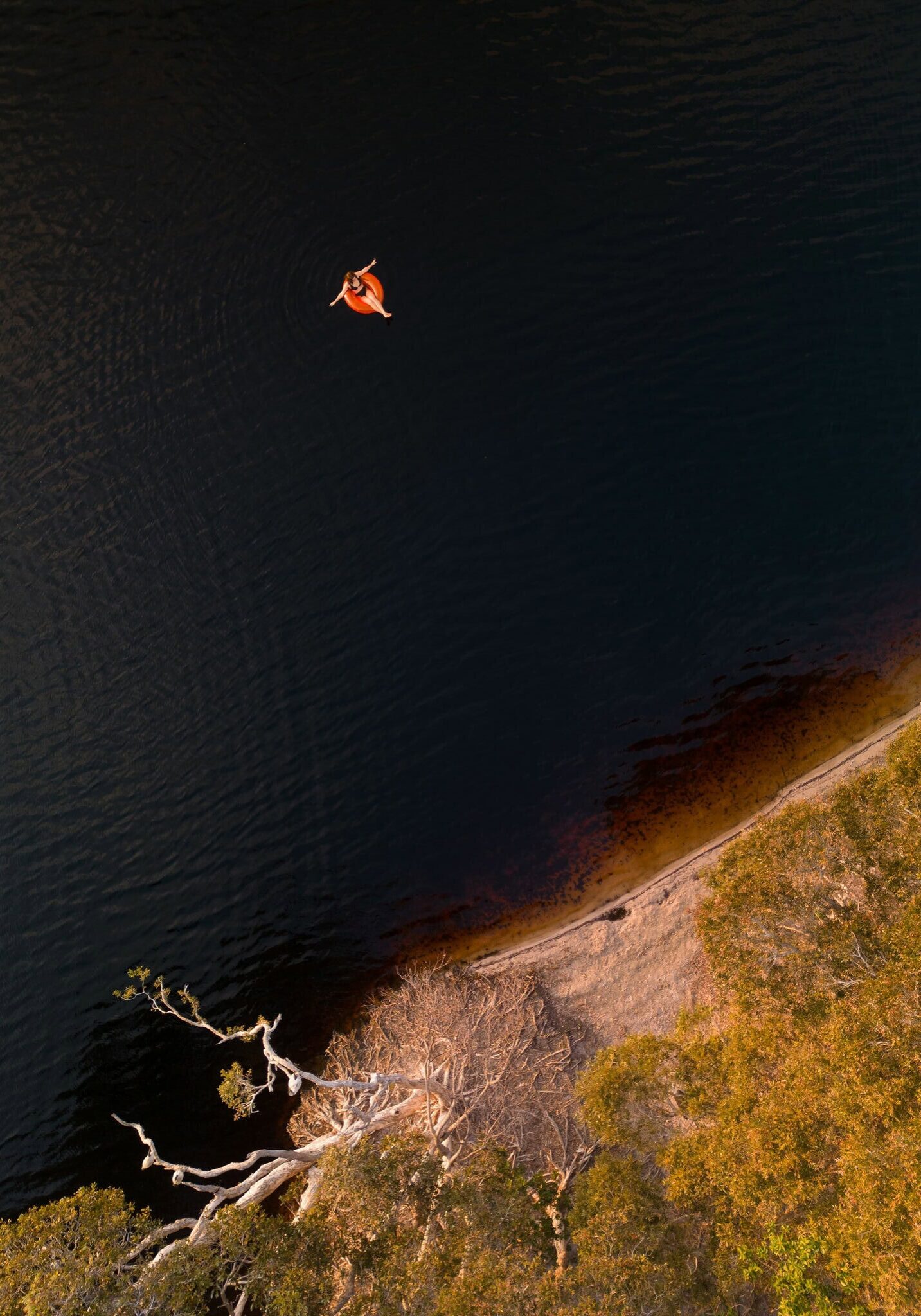 Lake Ainsworth – Tea-Tree Lake Escape in Lennox Head Aerial view of a person floating in tea-tree-stained waters at Lake Ainsworth, surrounded by native trees in Lennox Head, Northern NSW