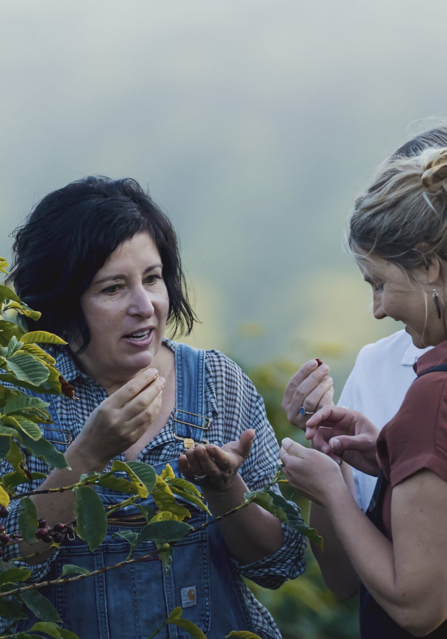 Trevor Worden Zentvelds Cropped