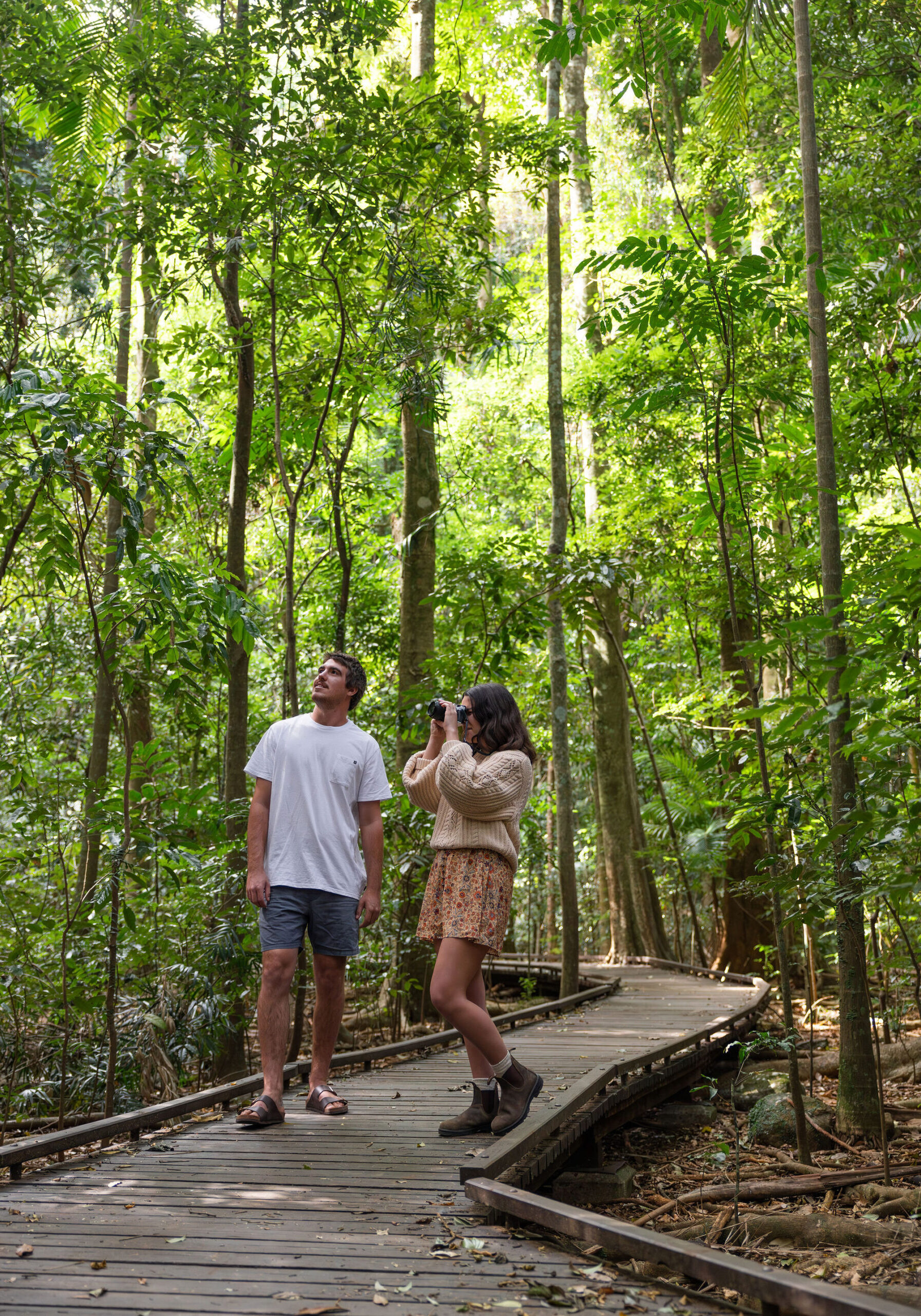 Two people walking along a timber boardwalk through lush subtropical rainforest.